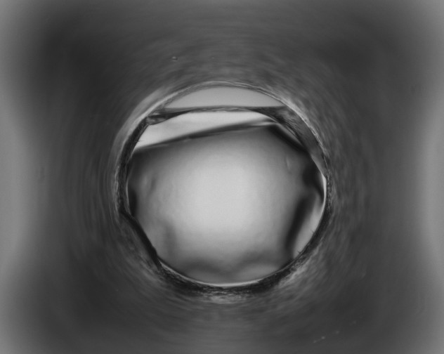 X0000086080199200704132111