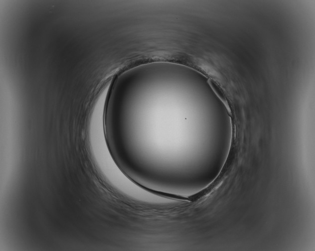 X0000086080201200704132111