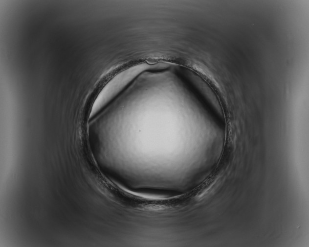 X0000086080203200704132111