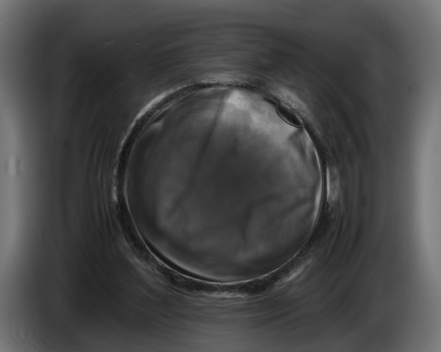 X0000086080204200704132111