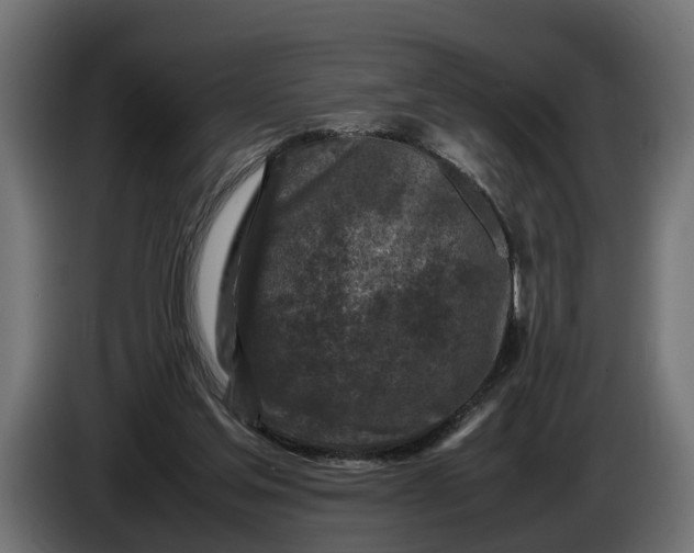 X0000086080205200704132111