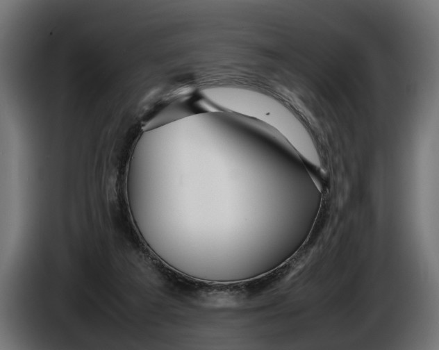 X0000086080209200704132111