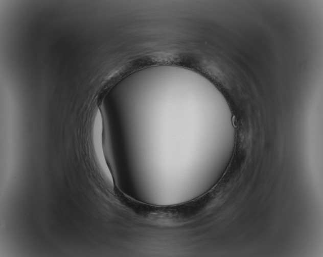 X0000086080211200704132110