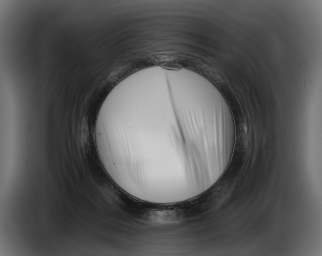 X0000086080220200704132110