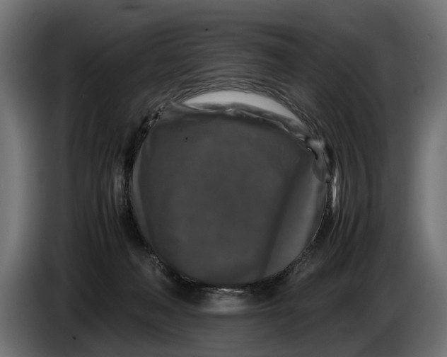 X0000086080222200704132110