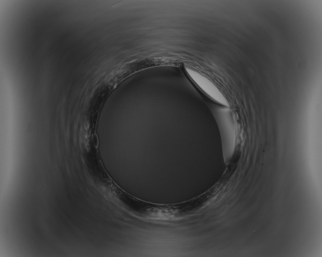 X0000086080223200704132110