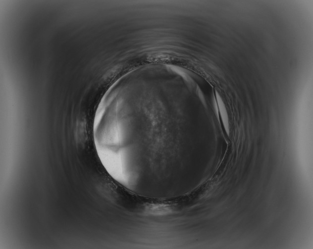 X0000086080224200704132110