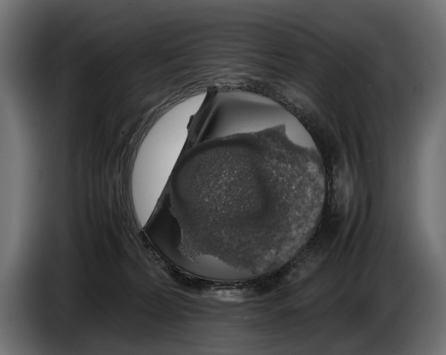 X0000086080228200704132110