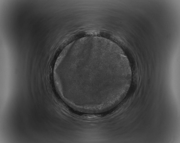 X0000086080229200704132110