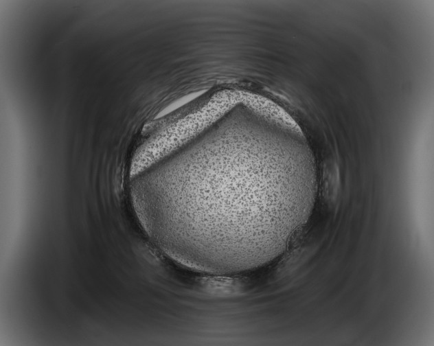 X0000086080230200704132110