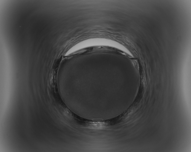 X0000086080233200704132110