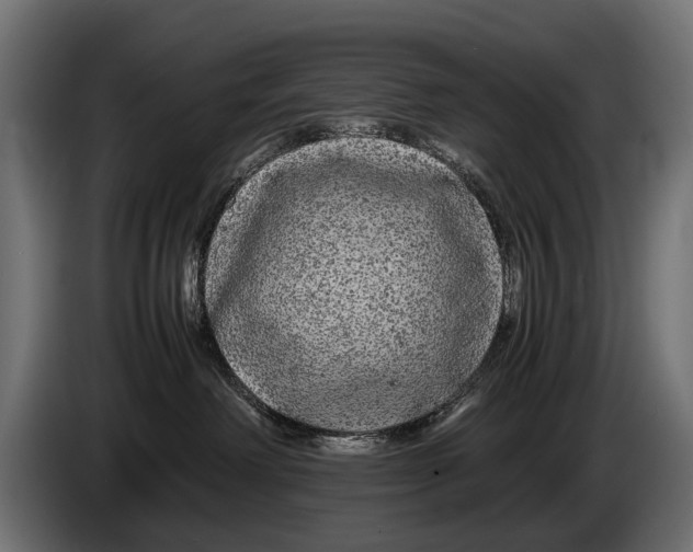 X0000086080238200704132110