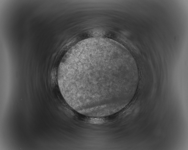 X0000086080240200704132110