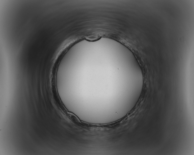 X0000086080242200704132109