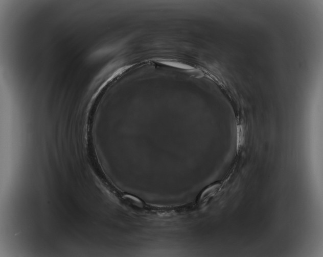 X0000086080243200704132109