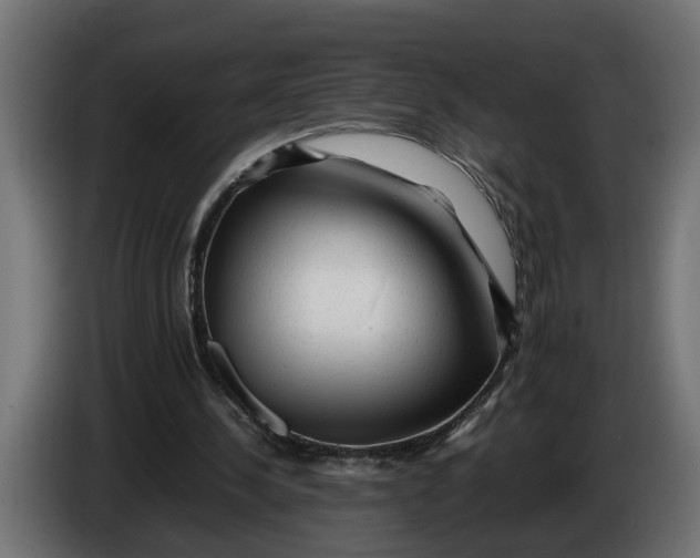 X0000086080244200704132109