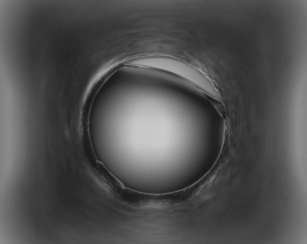 X0000086080248200704132109