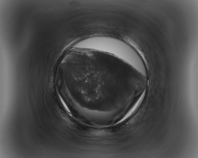 X0000086080249200704132110