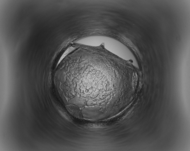 X0000086080250200704132110