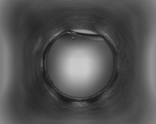 X0000086080251200704132110