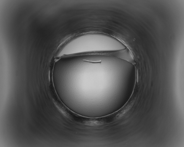 X0000086080253200704132110