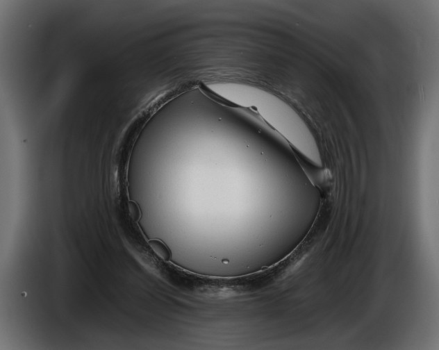 X0000086080254200704132110