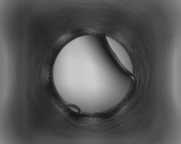 X0000086080255200704132110