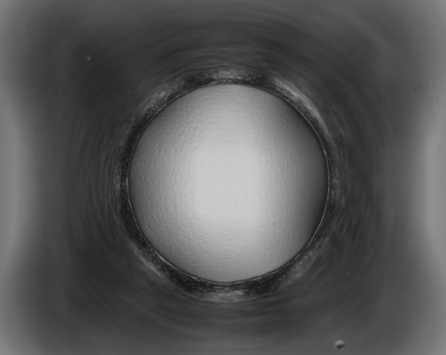 X0000086080257200704132110