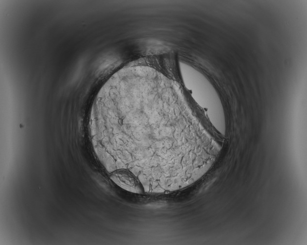 X0000086080258200704132110