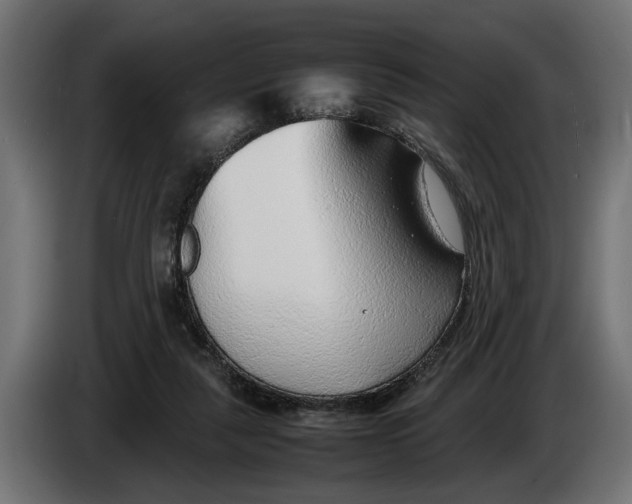 X0000086080259200704132110