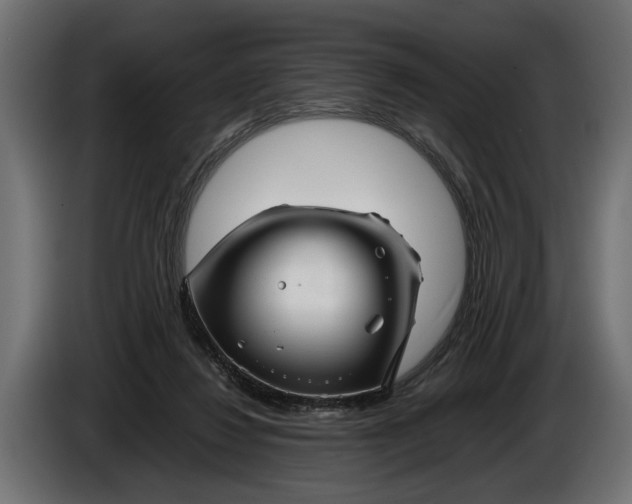 X0000086080260200704132110