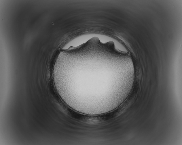 X0000086080261200704132110