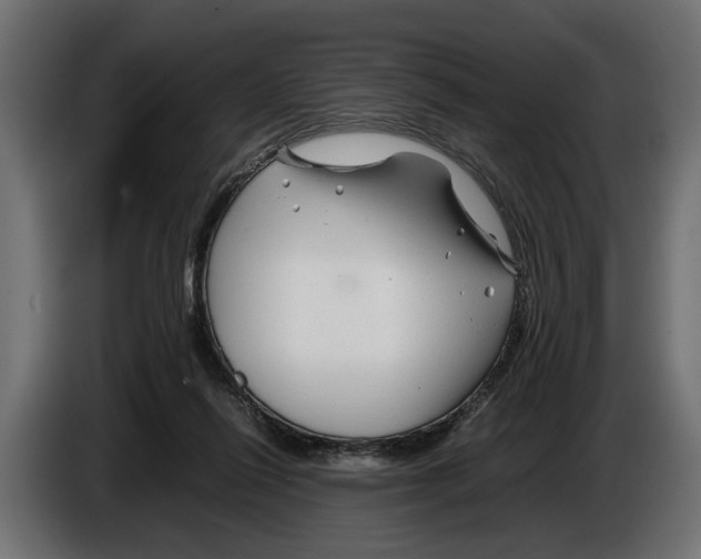 X0000086080262200704132110