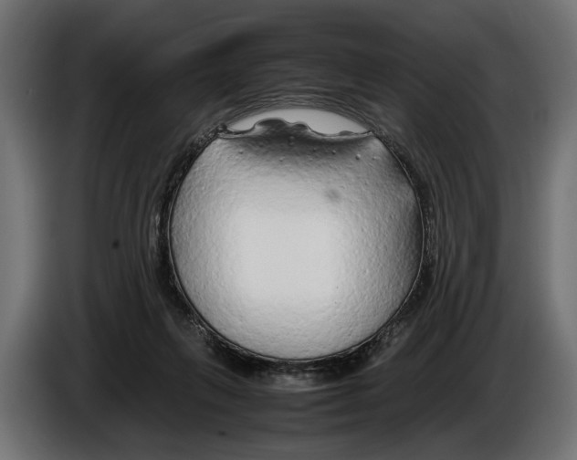 X0000086080263200704132110