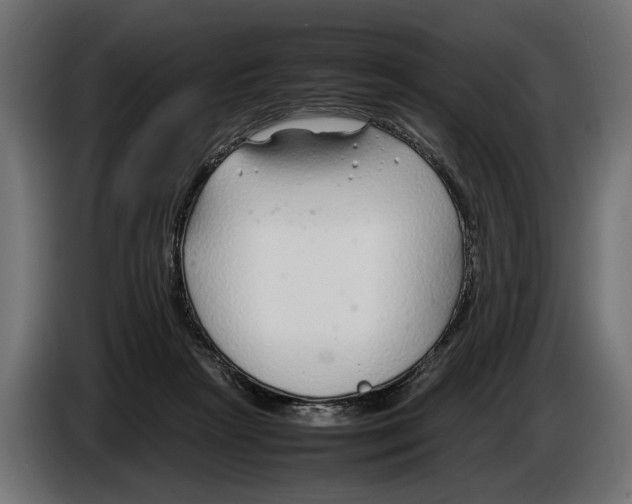 X0000086080265200704132110