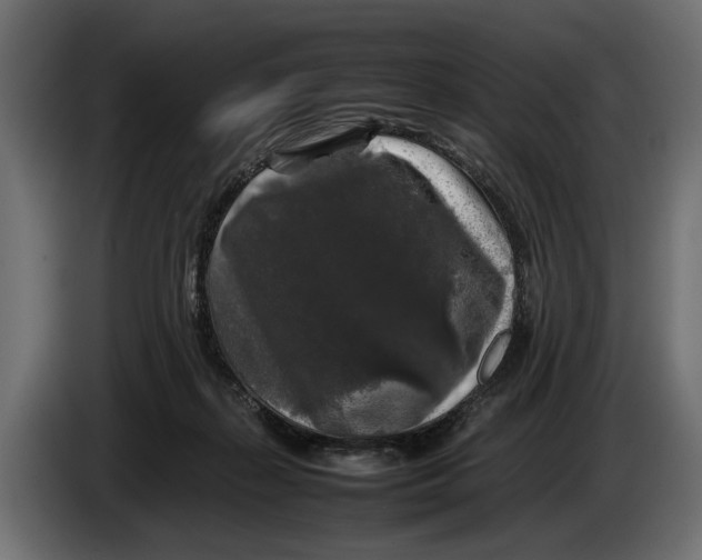 X0000086080267200704132110