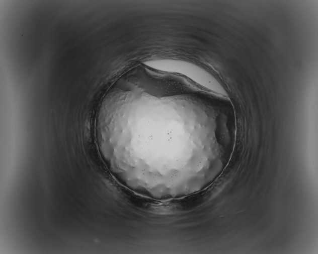 X0000086080269200704132110