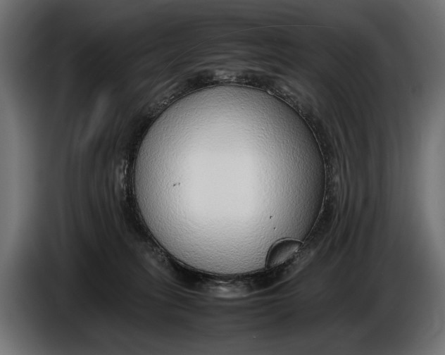 X0000086080275200704132110