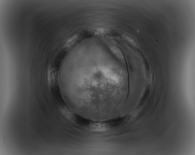 X0000086080276200704132110