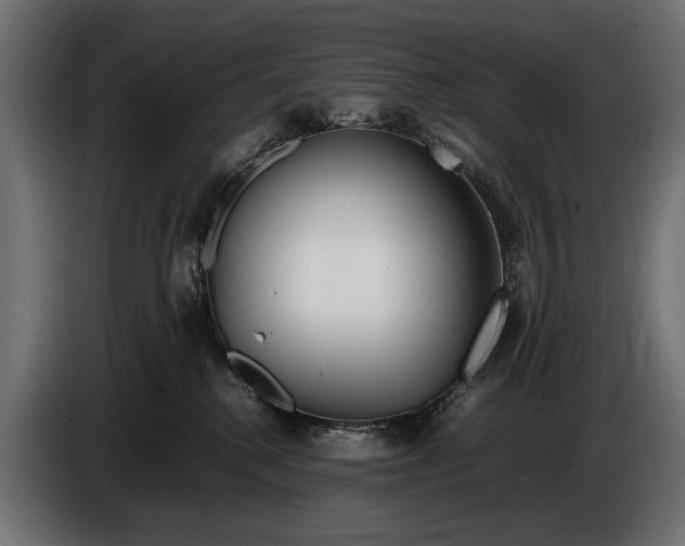 X0000086080280200704132110