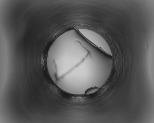 X0000086080282200704132110