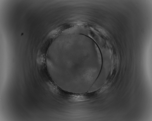 X0000086080284200704132110