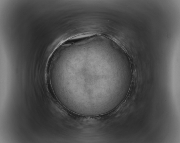 X0000086080290200704132109