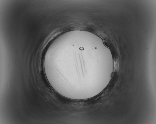 X0000086080291200704132109