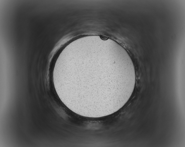 X0000086080296200704132109