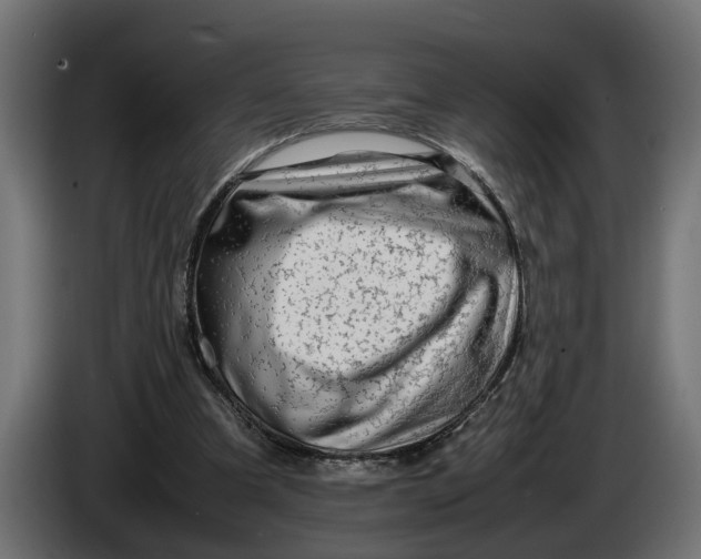 X0000086080297200704132109