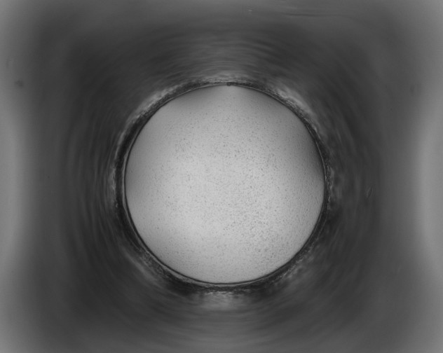 X0000086080298200704132109