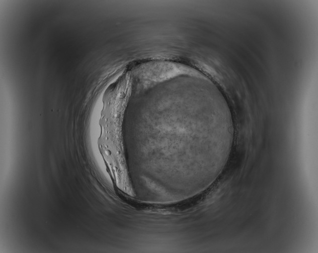 X0000086080299200704132109