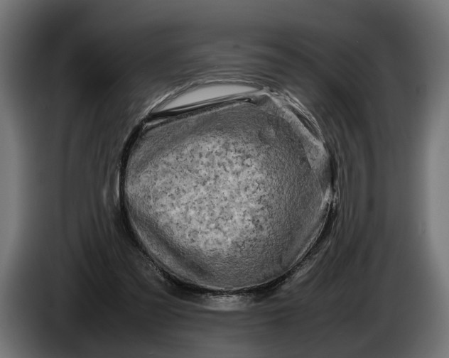 X0000086080301200704132109