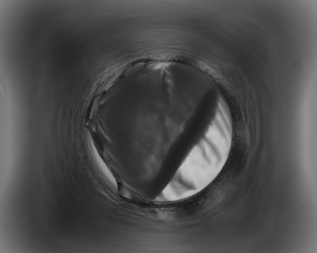 X0000086080303200704132109